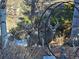 Mule deer with antlers stand among trees and shrubs in a snowy yard at 1 Red Fox Ln, Littleton, CO 80127