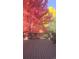 The spacious deck overlooks vibrant fall foliage, creating a colorful and picturesque outdoor retreat at 8369 W Fairview Ave, Littleton, CO 80128