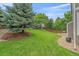 Lush backyard with a manicured lawn, mature tree, decorative rock area, and patio off the home at 3860 Mallard Dr, Highlands Ranch, CO 80126