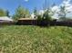 Backyard with a patio and overgrown grass and trees at 867 S Grape St, Denver, CO 80246