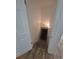 Carpeted basement stairs lead down to a dark, unfinished area at 867 S Grape St, Denver, CO 80246
