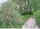 Walking trail through the property with lots of trees at 660 S Alton Way # 10D, Denver, CO 80247
