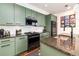 Modern kitchen features sleek green cabinets, stainless steel appliances, and granite countertops at 3412 Valentia St, Denver, CO 80238