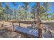 Wooden bridge crossing a stream in a backyard with mature trees in the background at 38666 County Road 21, Elizabeth, CO 80107