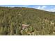 Aerial view of a home nestled amongst lush greenery and mature trees at 20410 Brookmont Rd, Morrison, CO 80465