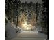 Snowy driveway leading to a home surrounded by snow-covered trees at 20410 Brookmont Rd, Morrison, CO 80465