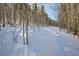 Snow covered trail winding through a pine forest at 246 Broken Lance Dr # 503, Breckenridge, CO 80424