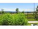 Picture of the community landscaping, showcasing a serene outdoor space at 474 Black Feather Loop # 406, Castle Rock, CO 80104