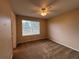 Bedroom featuring carpet, ceiling fan, and a large window providing natural light at 10027 Sylvestor Rd, Highlands Ranch, CO 80129