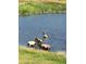 Image of several elk enjoying the pristine waters of the private pond at 7082 Silverhorn Dr, Evergreen, CO 80439