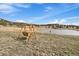 Wooden swing set that has a natural view overlooking the pond and landscape at 7082 Silverhorn Dr, Evergreen, CO 80439