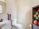 The powder room features a pedestal sink, modern fixtures, and decorative shelving at 3893 Ute Mountain Trl, Castle Rock, CO 80109