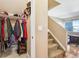 The hallway has a coat closet, carpeted stairs, and leads to the living room at 3893 Ute Mountain Trl, Castle Rock, CO 80109