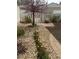 A charming backyard features a well-maintained garden and a white picket fence at 20535 E 47Th Ave, Denver, CO 80249