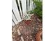 Close-up of flowers planted with white fence and mulch at 20535 E 47Th Ave, Denver, CO 80249