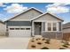 Charming single-Gathering home with a two-car garage, stone accents, and fresh landscaping at 1904 Water Birch Way, Castle Rock, CO 80108