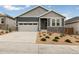 Charming single-story home featuring a two-car garage, stone accents, and low maintenance landscaping at 1904 Water Birch Way, Castle Rock, CO 80108