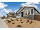 Street view of a modern single-Gathering home boasting manicured landscaping and a two-car garage at 1904 Water Birch Way, Castle Rock, CO 80108