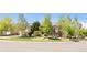 A nicely landscaped front exterior features healthy green trees and well-maintained lawn at 4519 Silver Mountain Loop, Broomfield, CO 80023