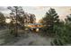 Secluded backyard featuring a home surrounded by mature trees and natural landscape, creating a private retreat at 7841 Deertrail Dr, Parker, CO 80138
