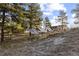 Eco-friendly home featuring solar panels, set amidst a serene natural landscape with mature trees at 7841 Deertrail Dr, Parker, CO 80138