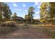 Expansive yard with mature trees, offering a serene setting and ample space for outdoor activities at 7841 Deertrail Dr, Parker, CO 80138