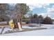 play area with a wooden playset, slide and trampoline at 221 Mulligan Lake Dr, Mead, CO 80542