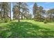 Expansive green park with mature trees offers a serene and inviting outdoor space at 1201 Race St # 10, Denver, CO 80206