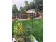 Charming garden with raised beds, flowers, and greenery, creating a serene and inviting atmosphere at 6614 Everett St, Arvada, CO 80004