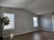 Large living room featuring lots of light and an elegant ficus tree at 20521 E Bellewood Pl, Aurora, CO 80015