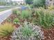 Landscaped front yard featuring colorful flowers and shrubs at 23579 E Swallow Cir, Aurora, CO 80016