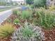 Colorful front yard landscaping featuring a variety of flowers, mulch and gravel at 23579 E Swallow Cir, Aurora, CO 80016