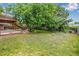 Landscaped backyard with lush lawn, mature tree, garden beds, and upper level wood deck with stairs at 9832 High St, Thornton, CO 80229