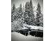 Winter wonderland view of snow-covered trees surrounding a peaceful pond at 80 Castlewood Ct, Evergreen, CO 80439