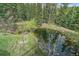 Still pond surrounded by lush trees and greenery create a tranquil setting at 80 Castlewood Ct, Evergreen, CO 80439