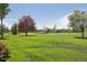 Open green lawn and treeline in distance at 625 S Clinton St # 7A, Denver, CO 80247