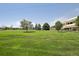 Spacious lawn area with open sky and tree line in distance at 625 S Clinton St # 7A, Denver, CO 80247