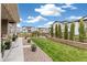Green backyard with manicured lawn and privacy landscaping at 228 Rogers Ct, Castle Rock, CO 80104