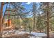 Home nestled in the forest, showcasing the backyard, deck, and inviting tree swing at 7219 S Brook Forest Rd, Evergreen, CO 80439