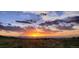 Distant sunset view over rolling grass hills and open space at 10066 Belvedere Cir, Lone Tree, CO 80124