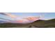 A scenic walking path winding through a grassy open space landscape at 10066 Belvedere Cir, Lone Tree, CO 80124