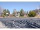 Outdoor basketball court provides residents a place to play a pick-up game at 17018 Carr Ave, Parker, CO 80134