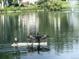 Peaceful pond offers a tranquil setting for residents to enjoy nature and wildlife at 309 E Highline Cir # 104, Centennial, CO 80122
