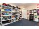 Organized storage room with shelves and a variety of sporting equipment and decorative items at 2916 Hiwall Ct, Castle Rock, CO 80109