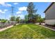 Large backyard with green grass, a tall tree, some landscaping, and a metal power line tower at 5338 Granby St, Denver, CO 80239