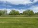 Scenic park view with lush green grass, mature trees, and distant sports field lighting at 5338 Granby St, Denver, CO 80239