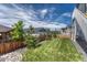 Landscaped backyard with lush green lawn, wood fence, and surrounding homes at 2775 Morningbird Ln, Castle Rock, CO 80109