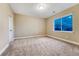 Carpeted bedroom with a window to see outside and natural light at 2775 Morningbird Ln, Castle Rock, CO 80109