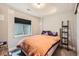 Cozy bedroom with a double bed, unique galaxy patterned pillows, and a partially obscured window with blinds at 5163 Apache Creek Rd, Castle Rock, CO 80109