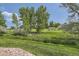 Expansive backyard with a lush green lawn and mature trees on a sunny day at 10239 W Fair Ave # A, Littleton, CO 80127